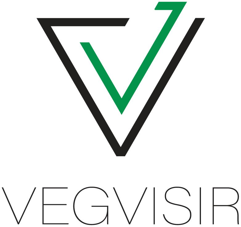 Vegvisir